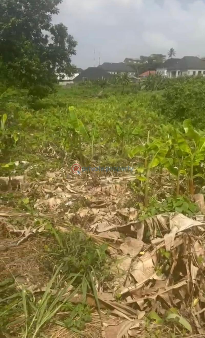 Residential Land For Sale Near Oriwu College Ikorodu Lagos - 3