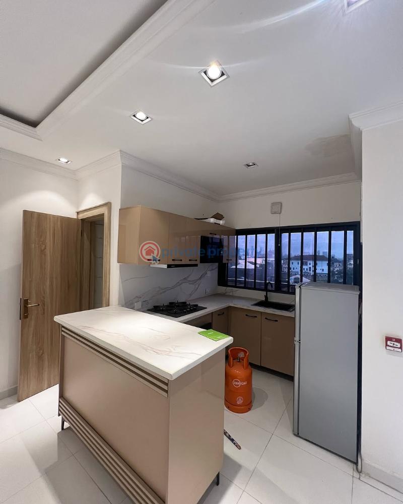 3 bedroom Block Of Flats For Rent Ikoyi Lagos - 2