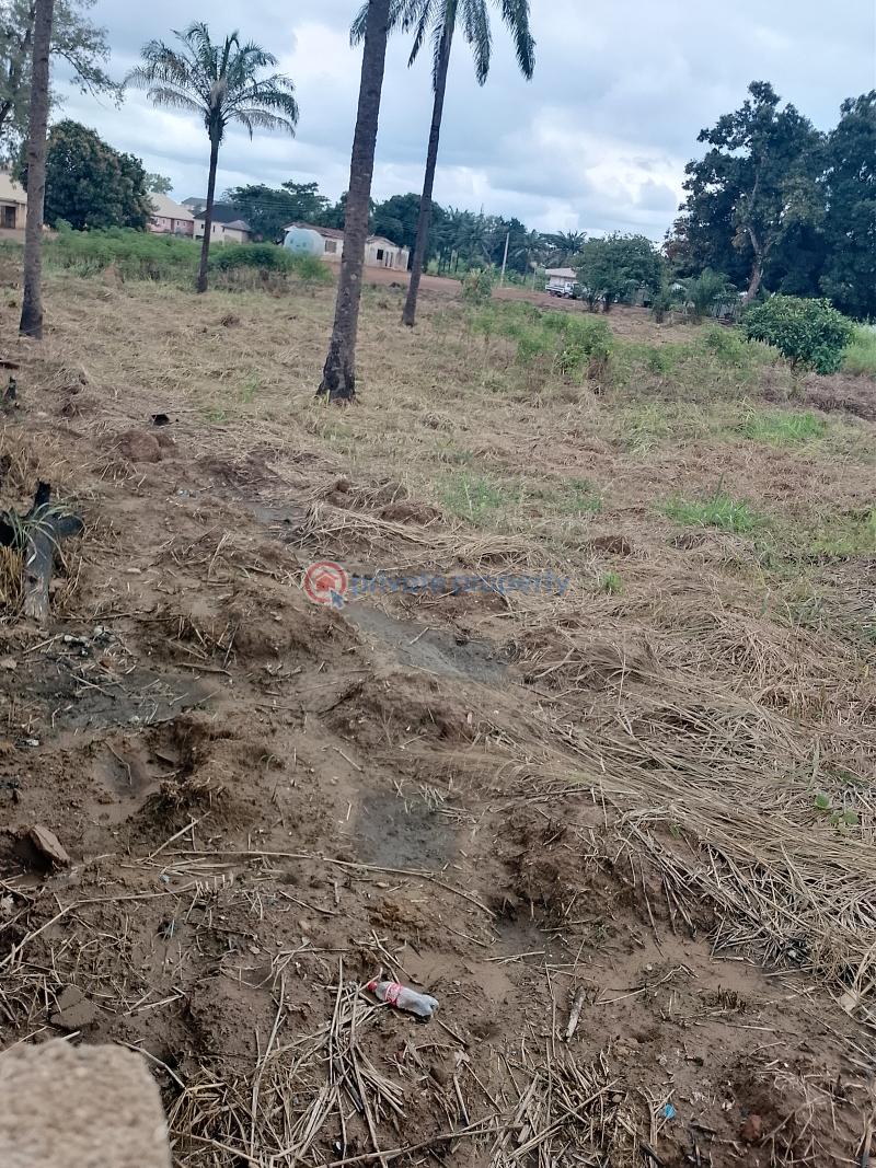 Land For Sale Nike Enugu Enugu Area  - 1