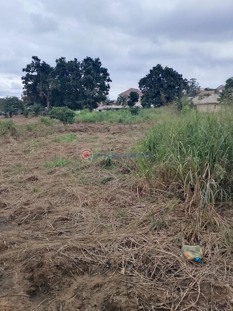 Land For Sale Nike Enugu Enugu Area  - 2
