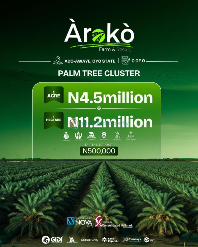 Land For Sale Aroko Farm And Resort Oyo  - 2