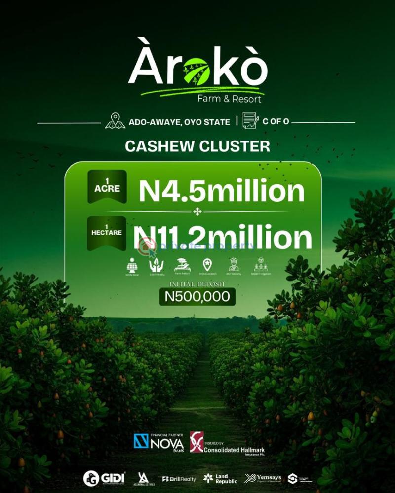 Land For Sale Aroko Farm And Resort Oyo  - 1