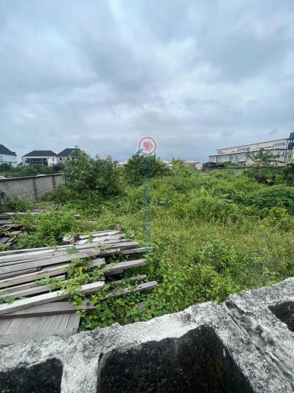 1634sqm land with governor's consent, directly on the interlocked road in front of lakowe lakes golf & resort estate, lakowe, lekki. price is negotiable - 4 Land For Sale On The Interlocked Road Right In Front Of The Entrance Of Lakowe Golf & Resort, Lakowe, Lekki Lakowe Ajah Lagos - 4