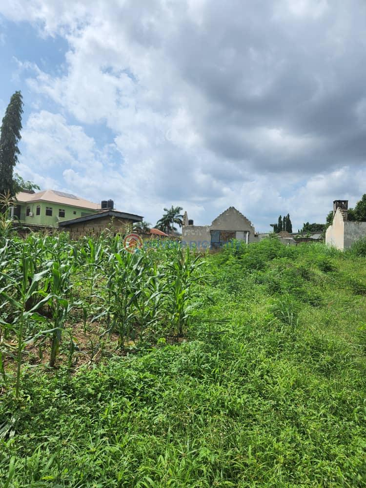 Residential Land For Sale Subuola Area Agodi Gra Ibadan Oyo - 0