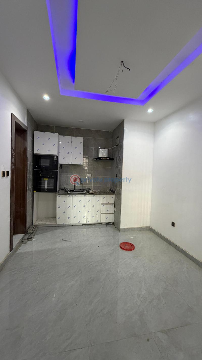 1 bedroom Studio Apartment For Rent Ikate, Surulere Surulere Lagos - 4