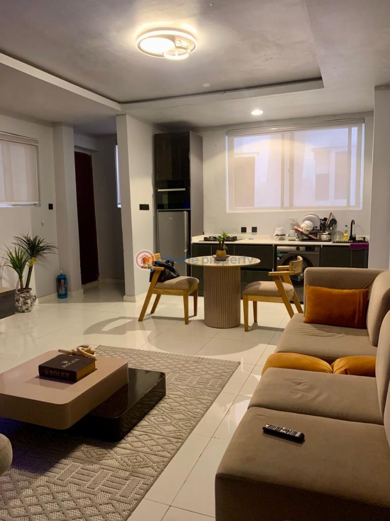 1 bedroom Flat & Apartment For Rent Ikoyi Lagos - 6