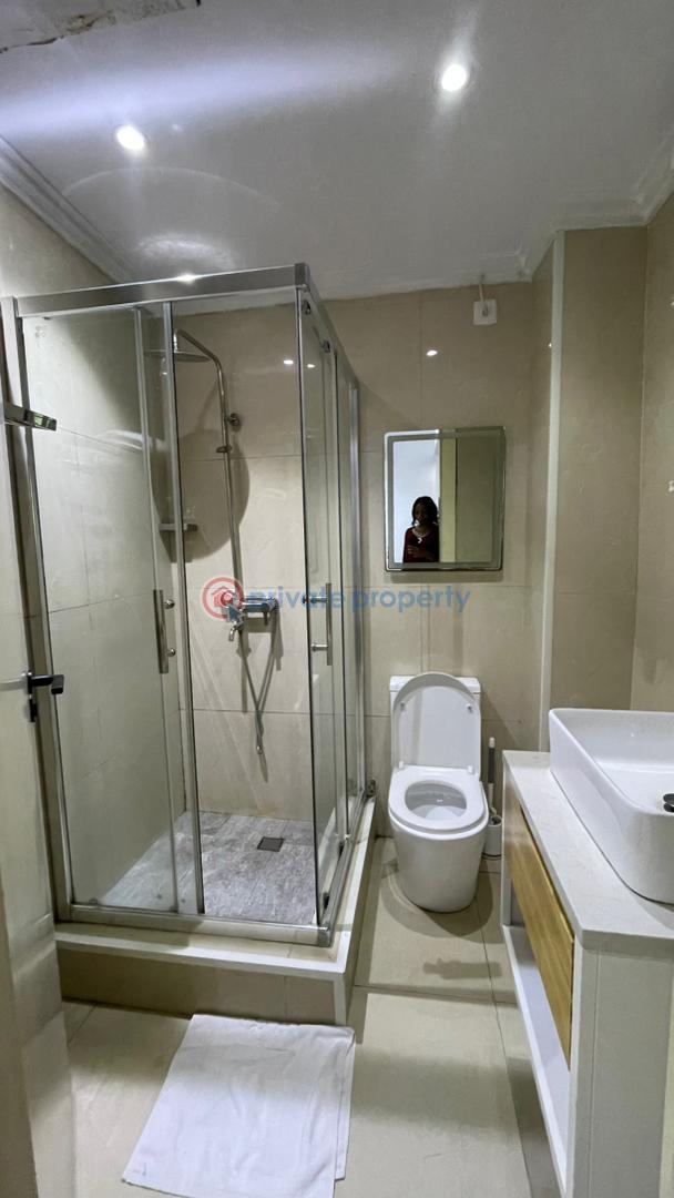 1 bedroom Flat & Apartment For Rent Ikoyi Lagos - 6
