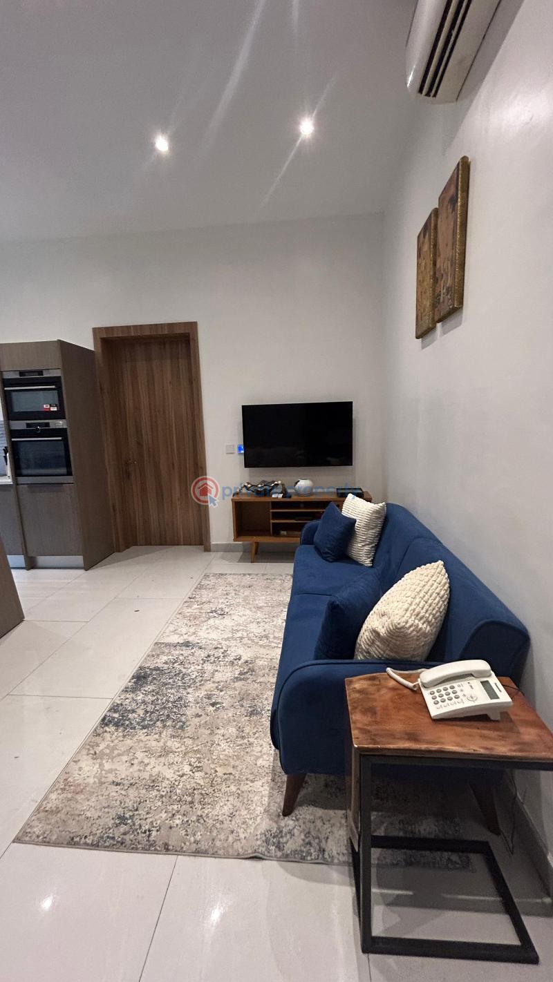 1 bedroom Flat & Apartment For Rent Ikoyi Lagos - 2