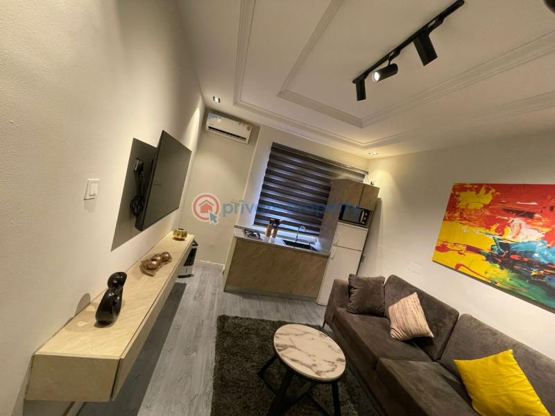 1 bedroom Flat & Apartment For Rent Lekki Phase 1 Lagos - 7