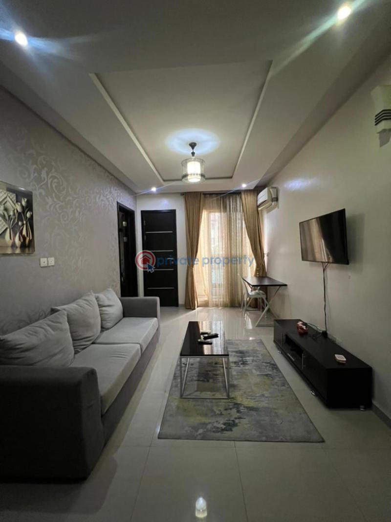 1 bedroom Flat & Apartment For Rent Old Ikoyi Lagos - 13