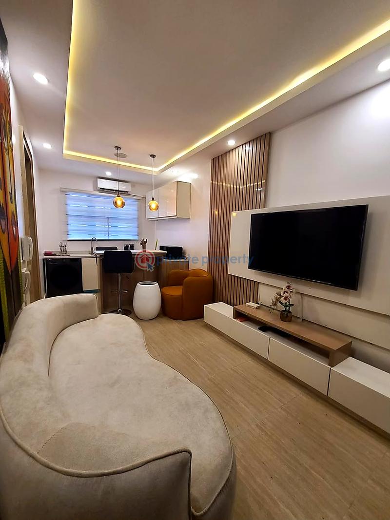 1 bedroom Flat & Apartment For Rent Victoria Island Lagos - 1