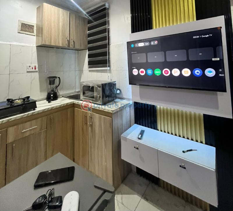 1 bedroom Studio Apartment Short let Ikate, Surulere Masha Surulere Lagos - 2