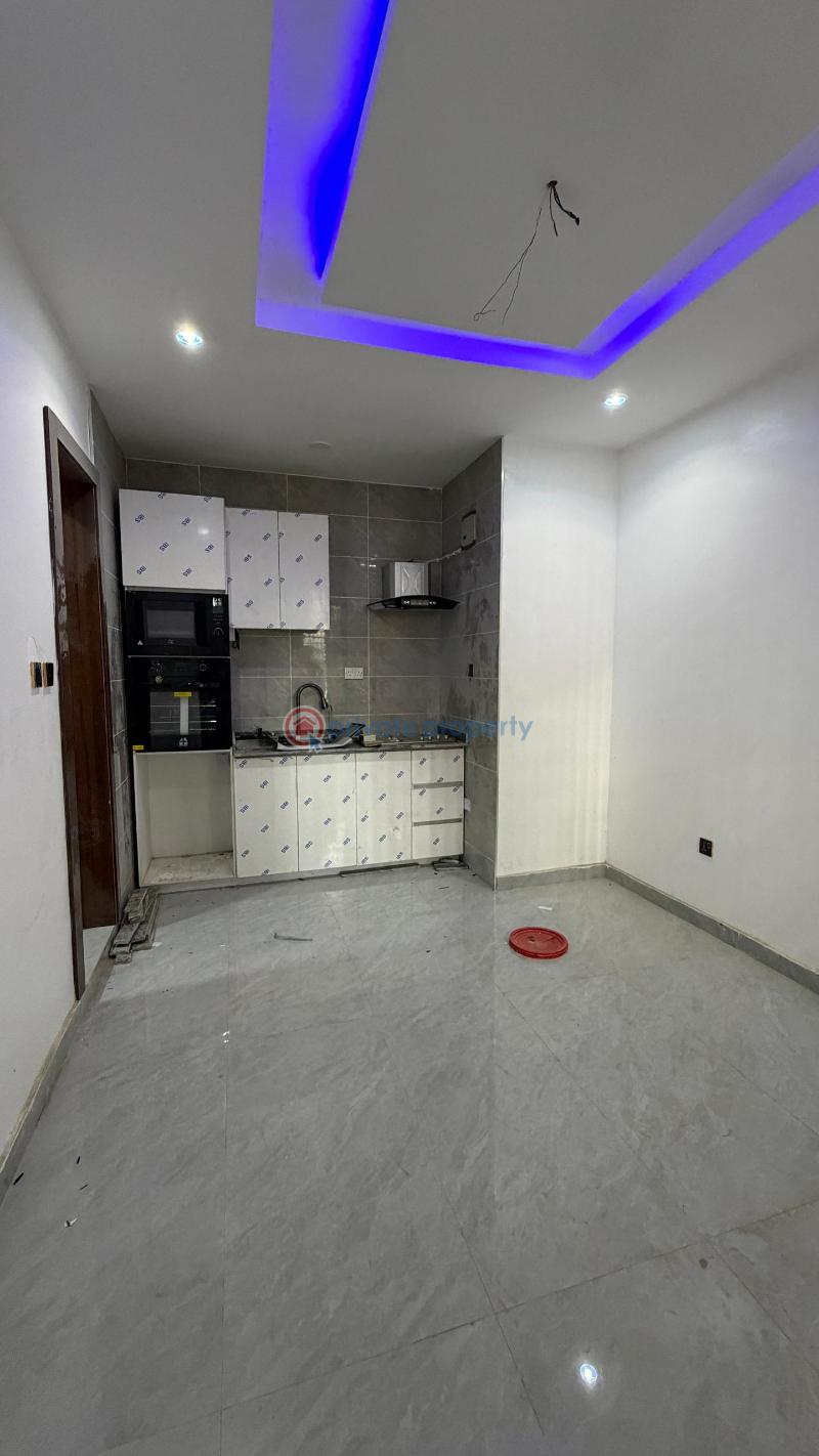 1 bedroom Studio Apartment For Rent Ikate, Surulere Surulere Lagos - 6