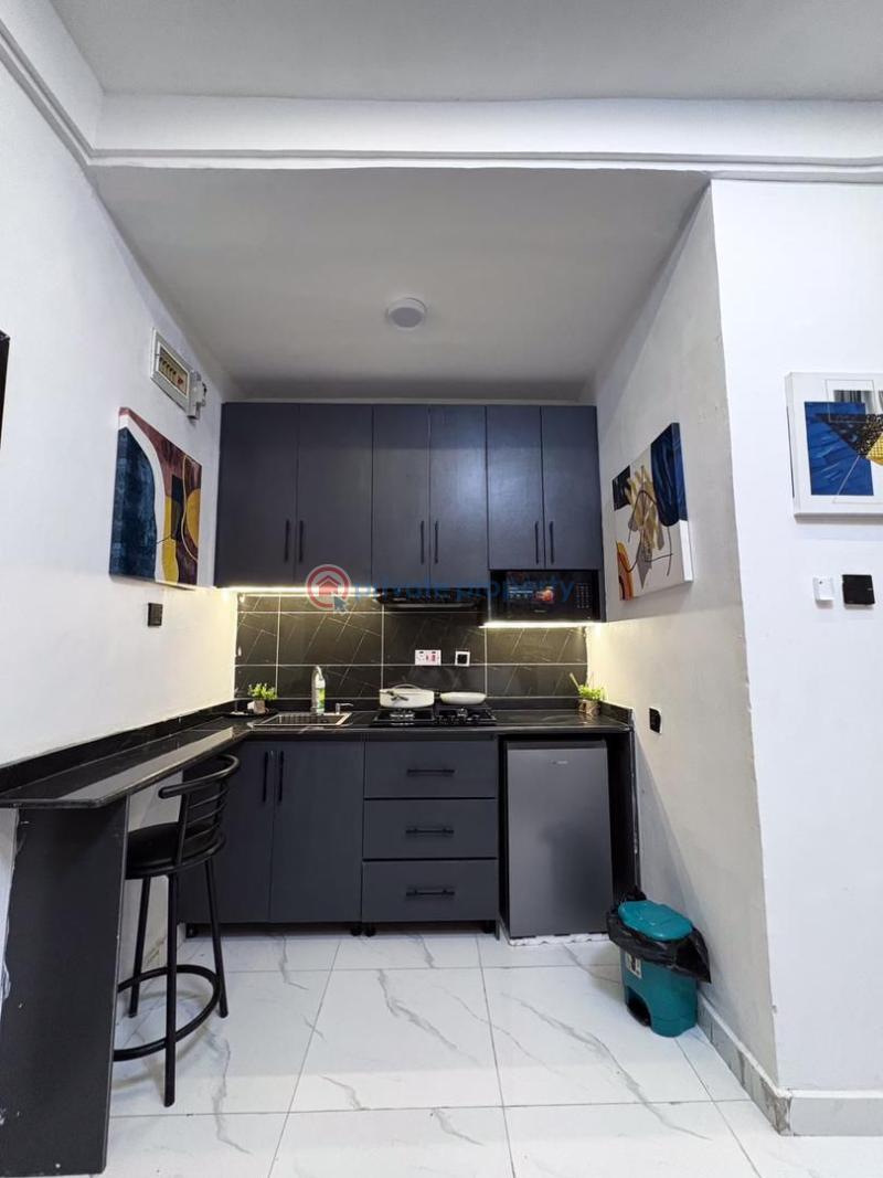 1 bedroom Studio Apartment Short let Surulere, Lagos Surulere Lagos - 3
