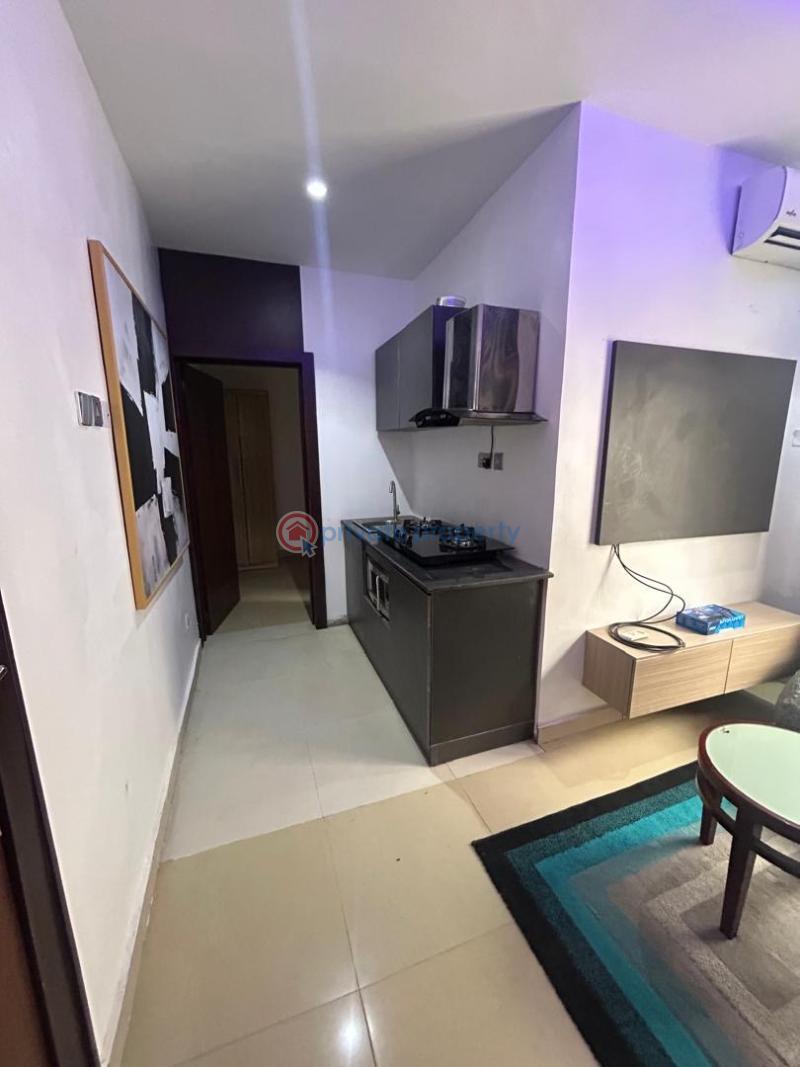 1 bedroom at phase1 - 1 1 bedroom Mini Flat For Rent Freedom Way Lekki Phase 1 Lagos - 1