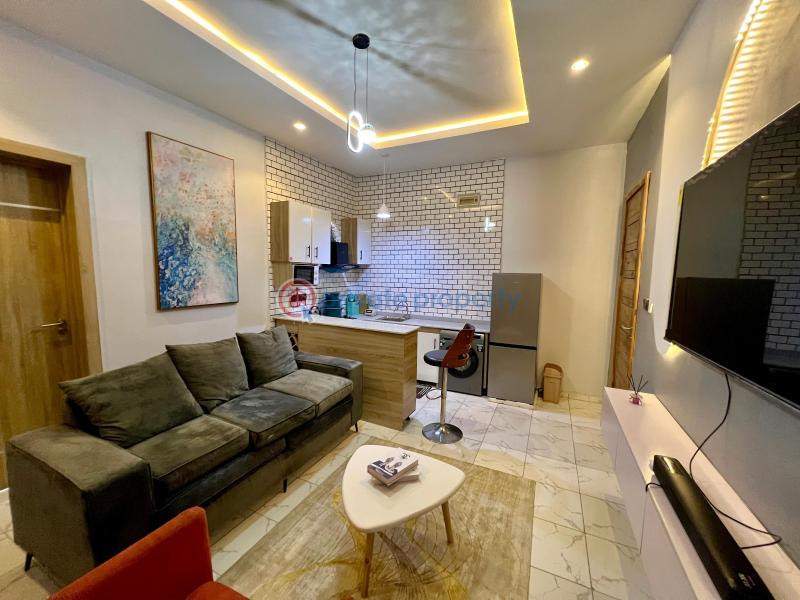 1 bedroom shortlet in chevron - 25 1 bedroom Flat & Apartment Short let Chevron Drive Lekki Lagos - 25