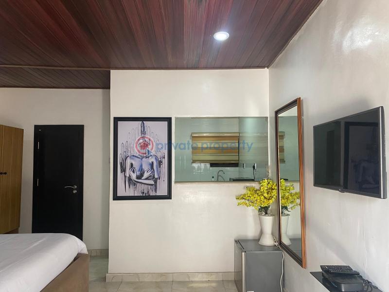 1 bedroom Flat & Apartment Short let Dolphin Estate Ikoyi Lagos - 15