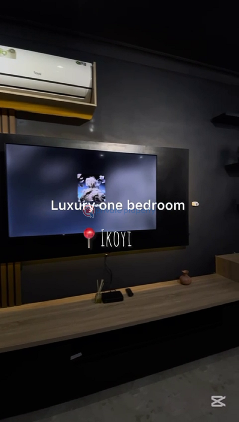 1 bedroom shortlet in ikoyi - 5 1 bedroom Flat & Apartment Short let Ikoyi Lagos - 5