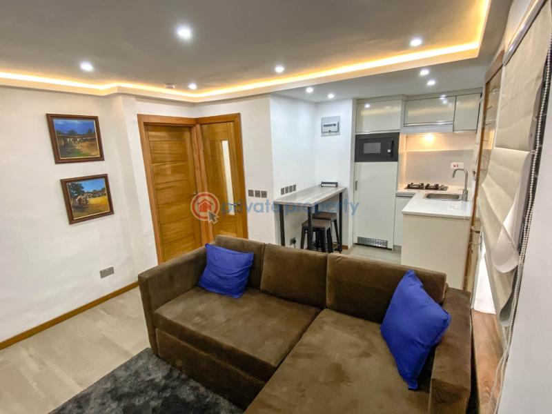 1 bedroom shortlet in ikoyi - 1 1 bedroom Flat & Apartment Short let Ikoyi Lagos - 1