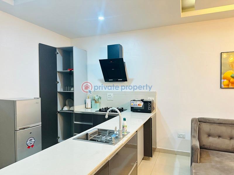 1 bedroom shortlet in lekki phase 1 - 4 1 bedroom Flat & Apartment Short let Lekki Phase 1 Lagos - 4