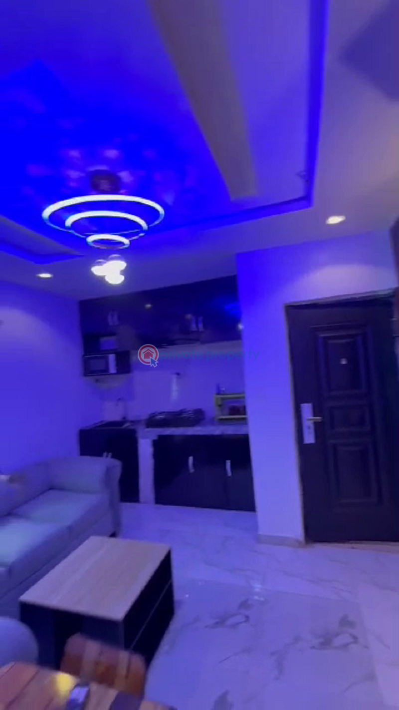 1 bedroom shortlet in surulere - 3 1 bedroom Flat & Apartment Short let Surulere Lagos - 3