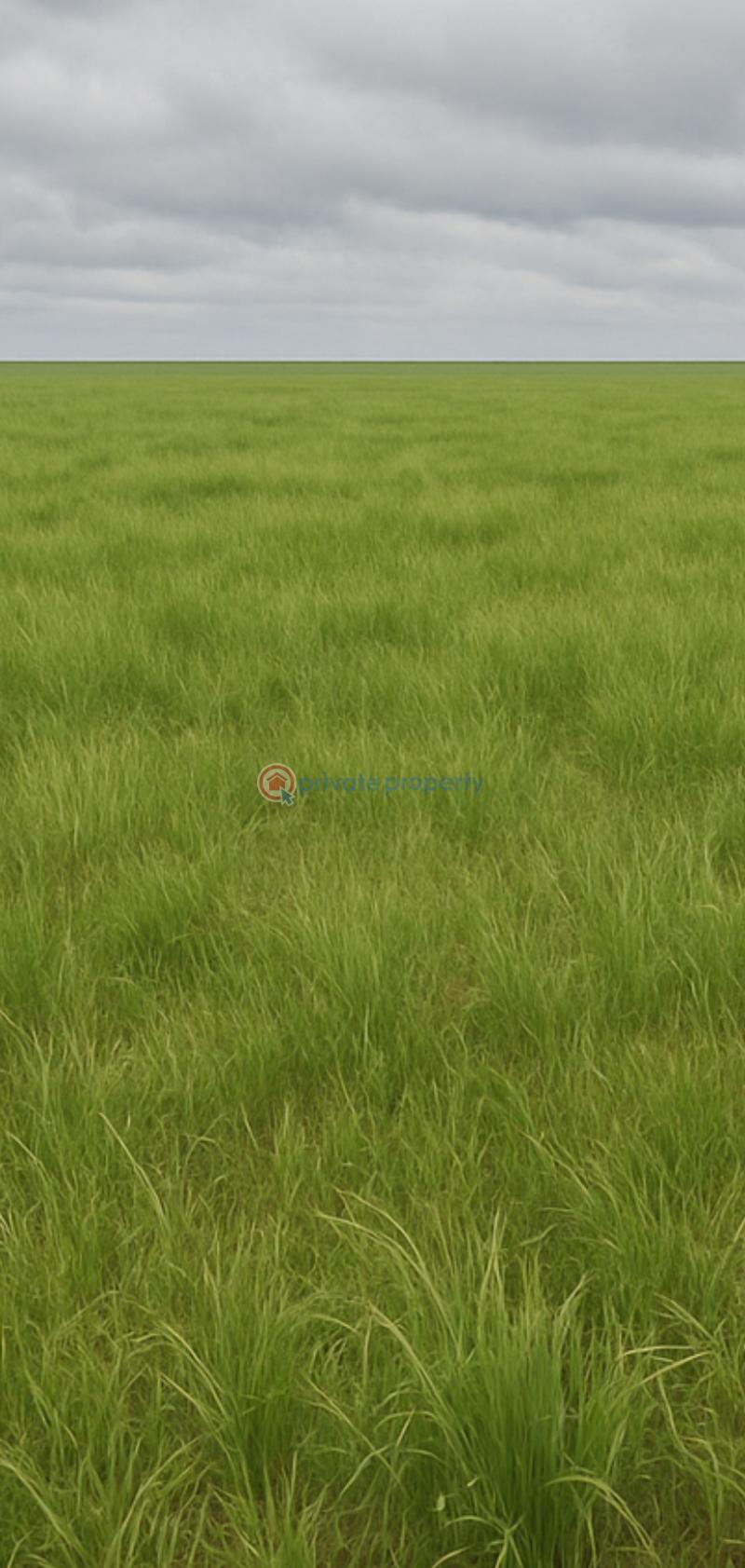 Residential Land For Sale Ibogunsomi, Ifo Ogun - 1