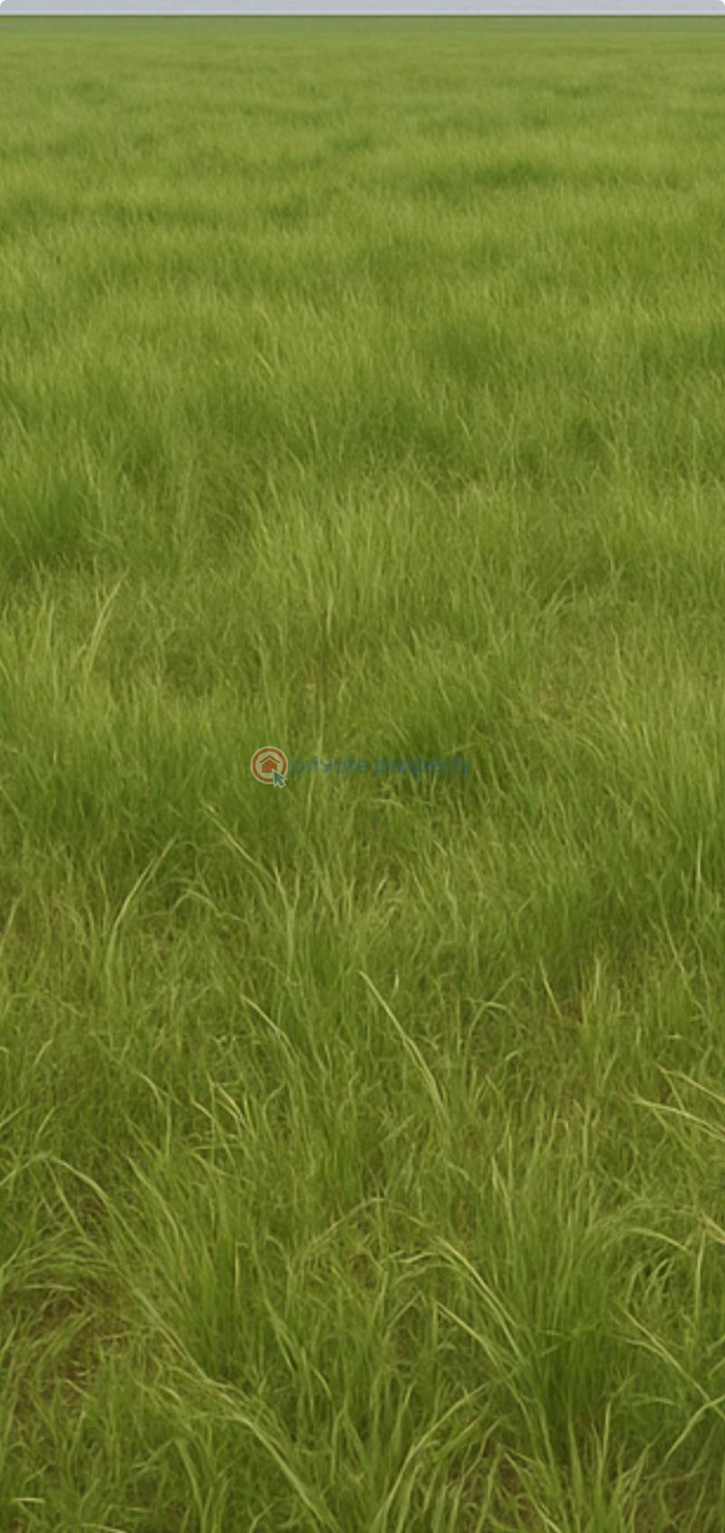 Residential Land For Sale Ibogunsomi, Ifo Ogun - 2