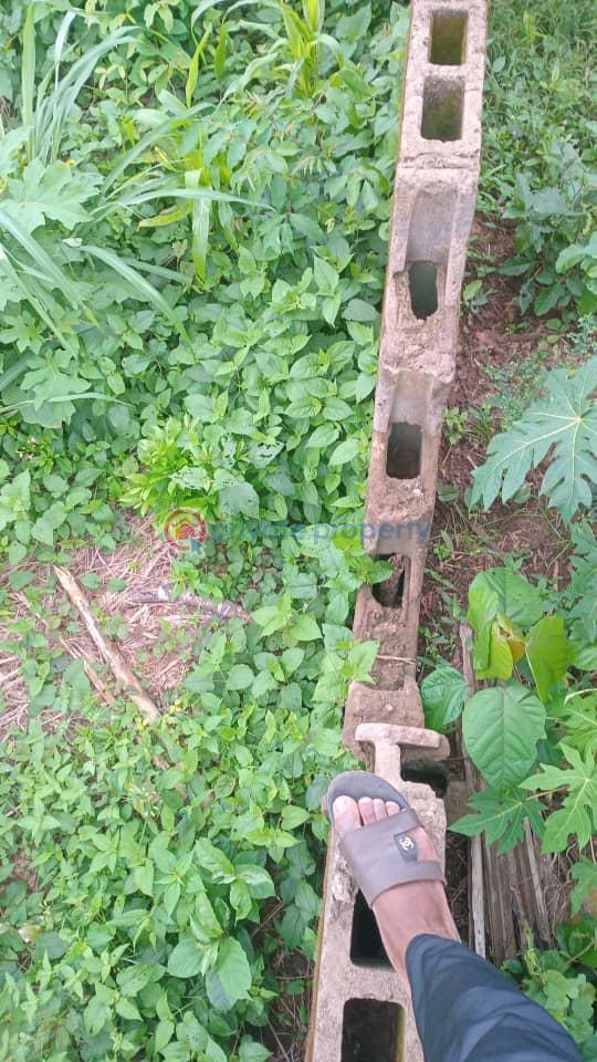 Residential Land For Sale Shimawa Obafemi Owode Ogun - 4