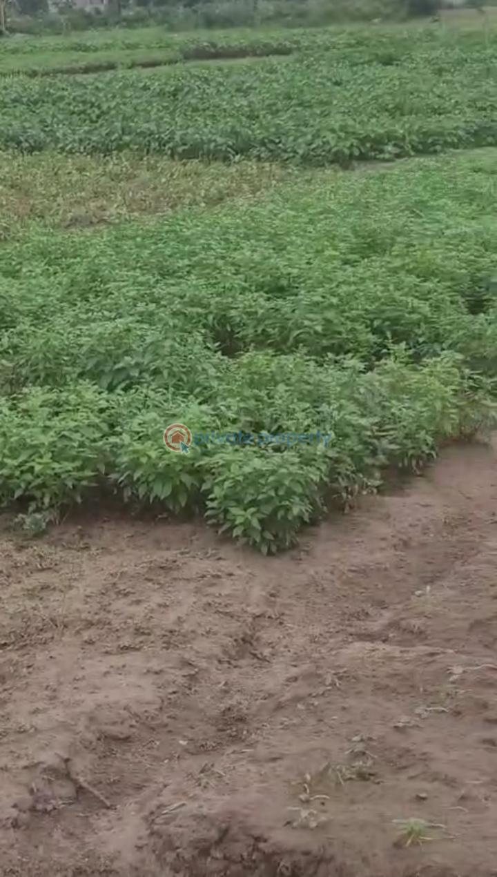 Residential Land For Sale Post Service Housing Estate, Ojo, Lagos Iba Ojo Lagos - 0