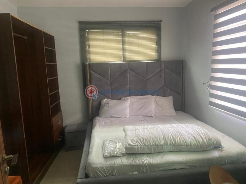 2 bedroom Maisonette For Rent Opposite Freedom Way Lekki Phase 1 Lagos - 5