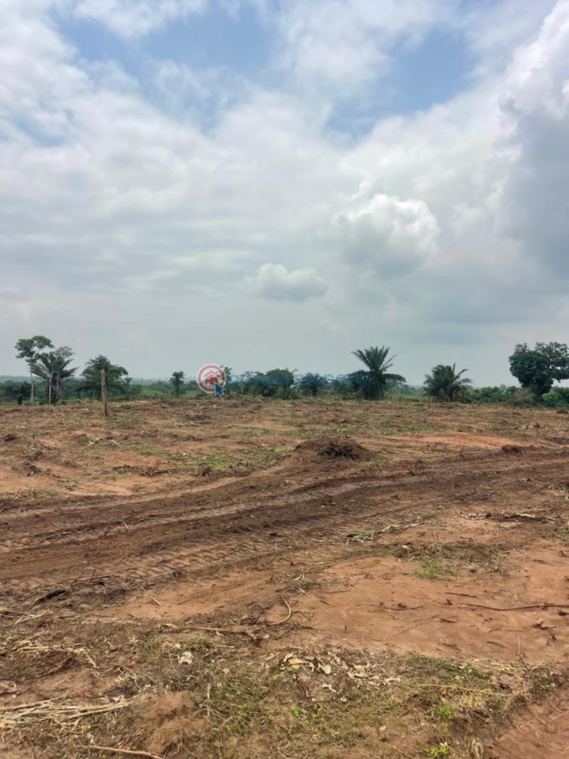 Mixed use Land For Sale Semawa Warewa Lagos Extension Ogun - 0