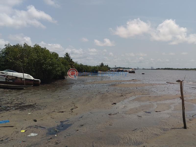 Land For Sale Snake Island Amuwo Odofin Festac Lagos (PID 9PALNF) Private Property