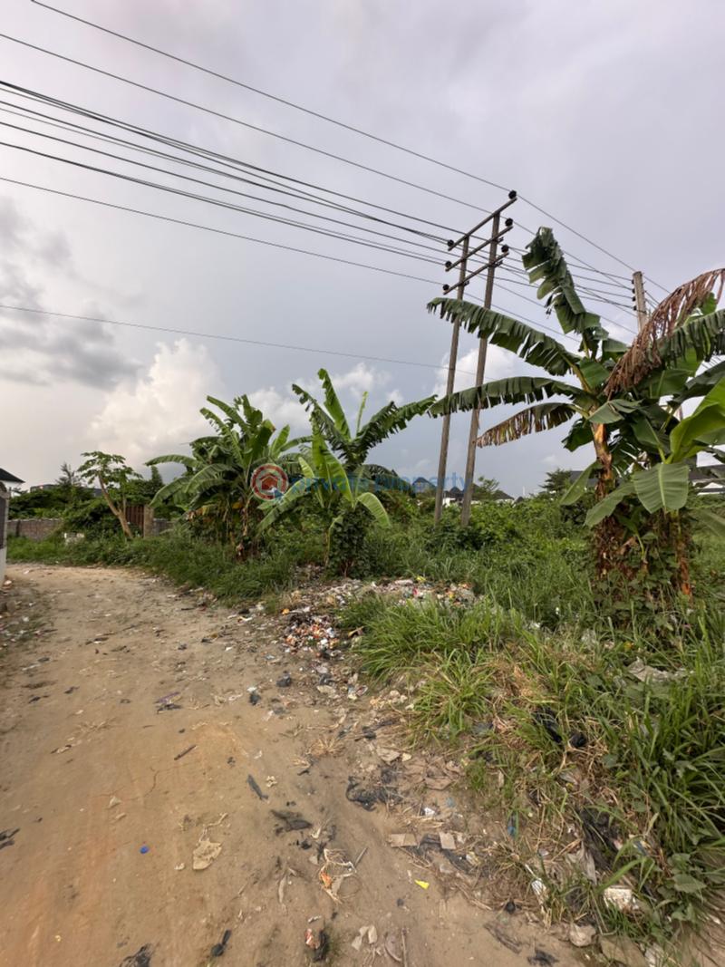 Mixed use Land For Sale Along Sars Road Rupkpokwu Port Harcourt Rivers - 2