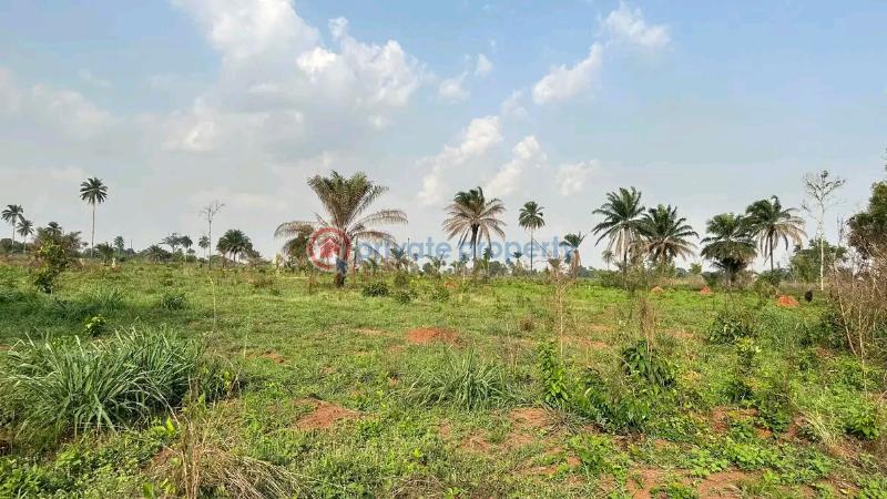Mixed use Land For Sale Iheoma Estate Directly Facing Ubulukwu Road Asaba Asaba Delta - 5