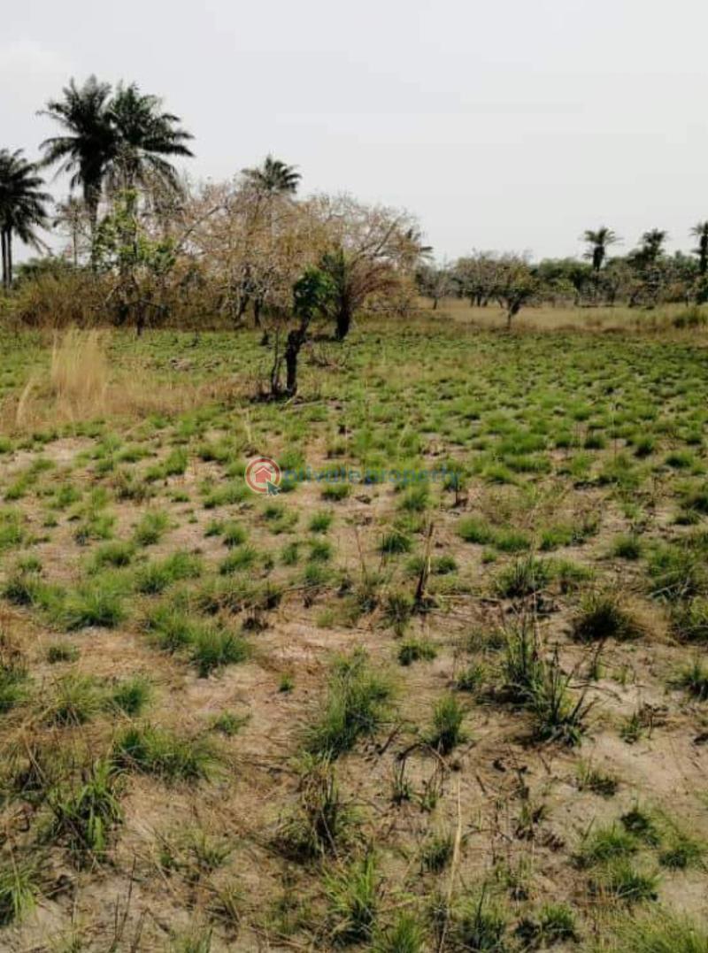 Mixed use Land For Sale Iheoma Estate Directly Facing Ubulukwu Road Asaba Asaba Delta - 3