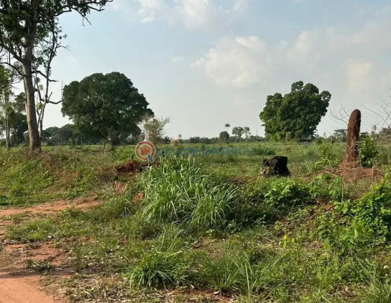 Mixed use Land For Sale Iheoma Estate Directly Facing Ubulukwu Road Asaba Asaba Delta - 8