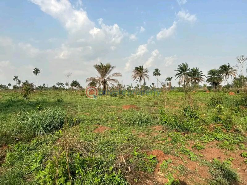 Mixed use Land For Sale Iheoma Estate Directly Facing Ubulukwu Road Asaba Asaba Delta - 6