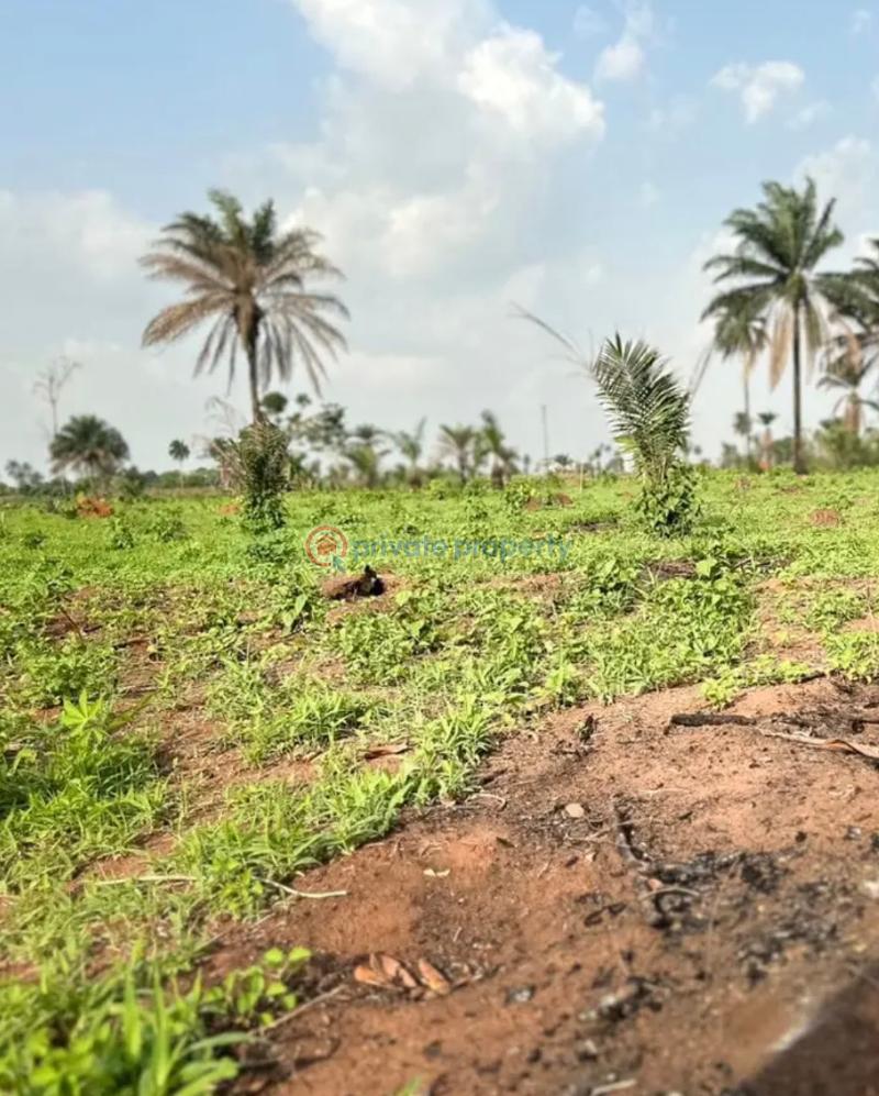 Mixed use Land For Sale Iheoma Estate Directly Facing Ubulukwu Road Asaba Asaba Delta - 9
