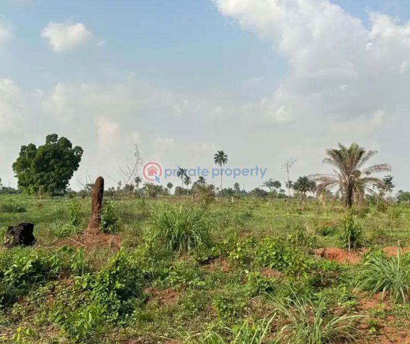 Mixed use Land For Sale Iheoma Estate Directly Facing Ubulukwu Road Asaba Asaba Delta - 7