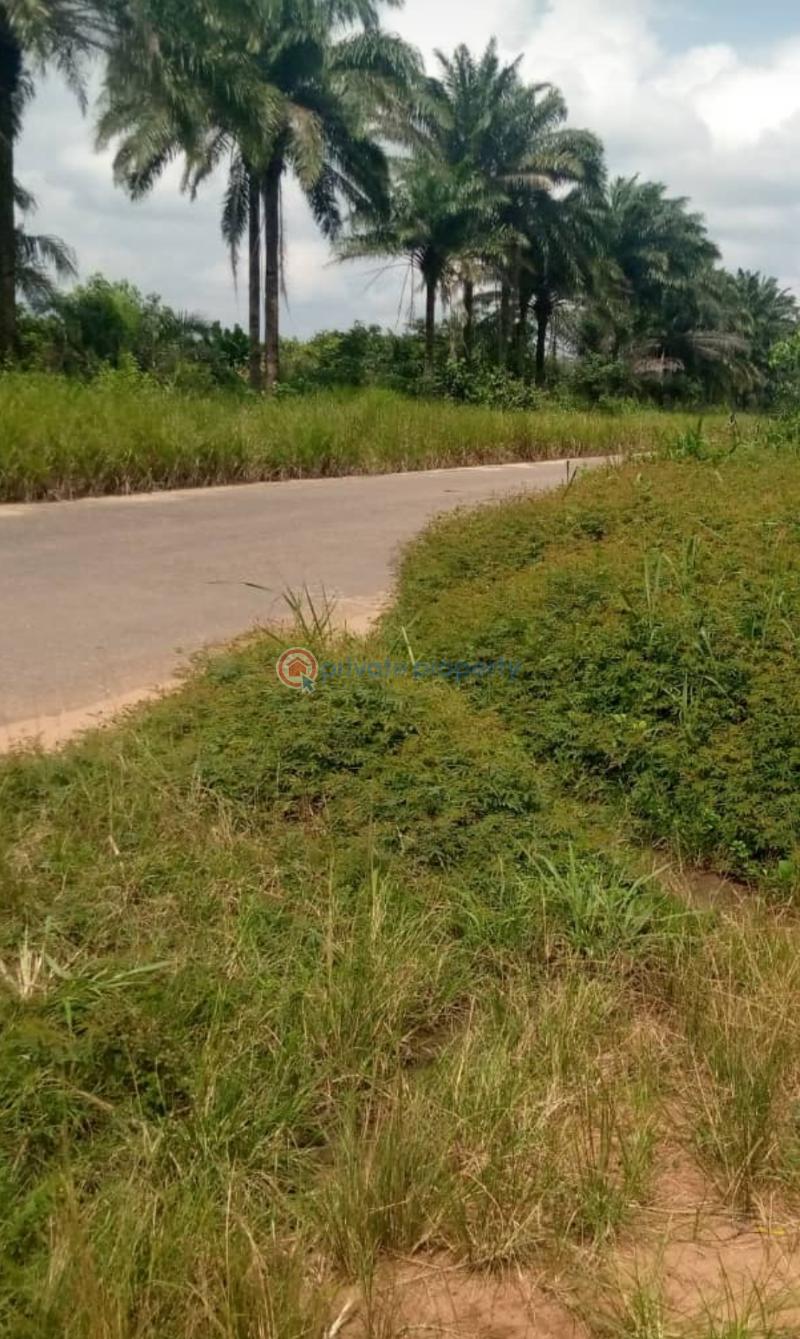 Mixed use Land For Sale Facing Ijebu Ibadan Express Road Ijebu Ode Ogun - 3