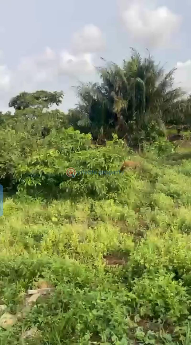 Mixed use Land For Sale ‎off Sapale Road Before Pz. Road. ‎the Land Is At The Back Of Yagluz Motors Stand. Benin Edo - 2
