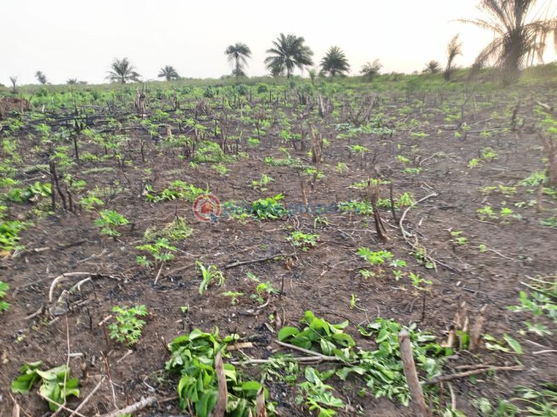 100% dry land for sale at topview estate - 2 Land For Sale Topview Estate Is Located At The Expressway Close To The Military Canntomen Epe Lagos - 2