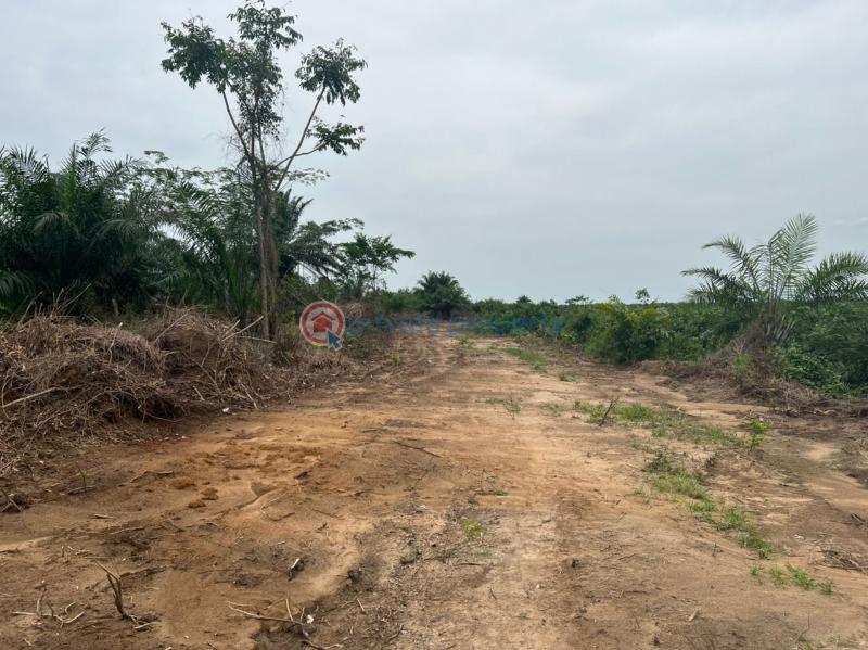 Land For Sale Pavilion Estate Kilometer 40 St Augustine University Road Epe Ajah Lagos (PID