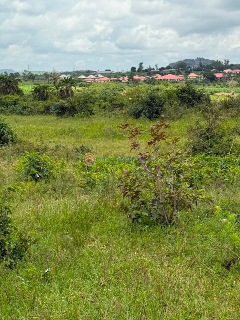 Mixed use Land For Sale Wasa Apo Abuja Phase 2  - 1