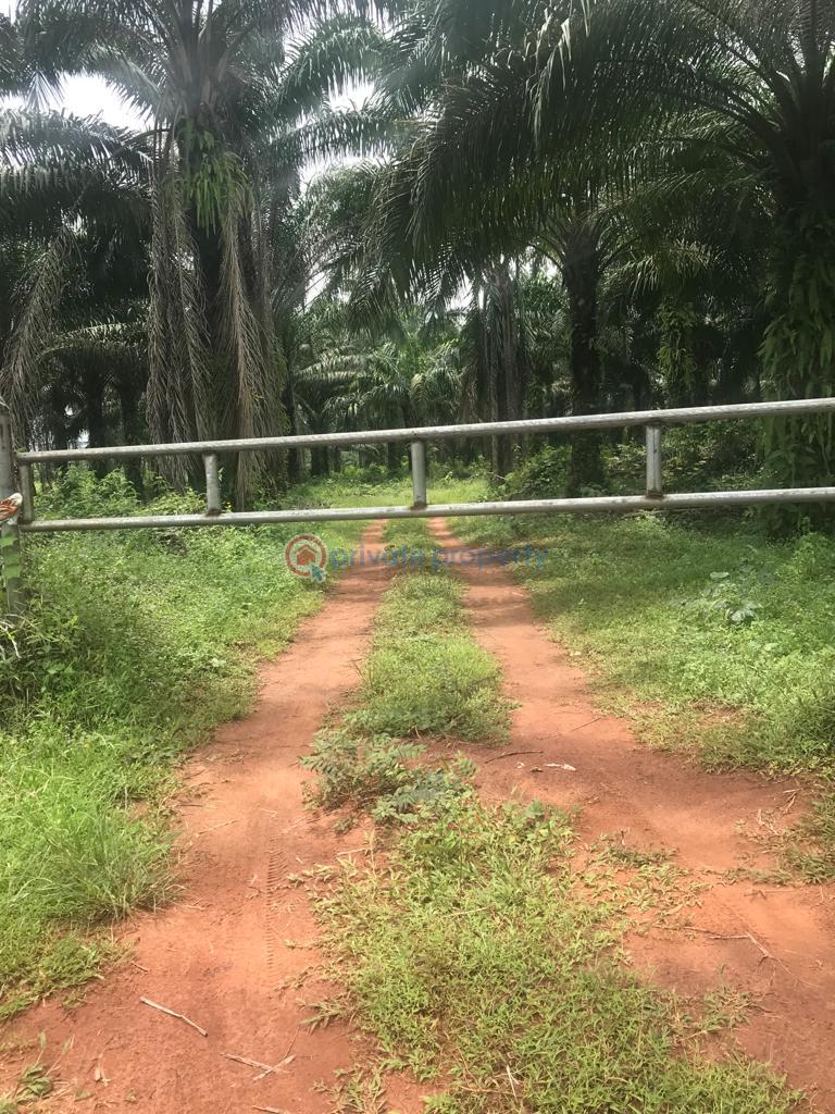 For sale Land Ikhueniro Village Benin Sapele Bypass, Benin City Edo