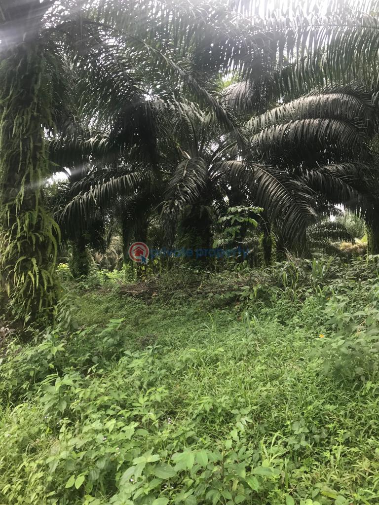 For sale Land Ikhueniro Village Benin Sapele Bypass, Benin City Edo