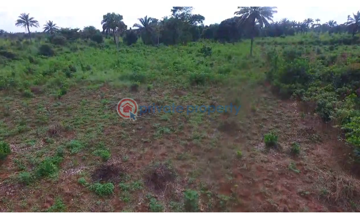 Commercial Land For Sale Ohaji/Egbema Imo