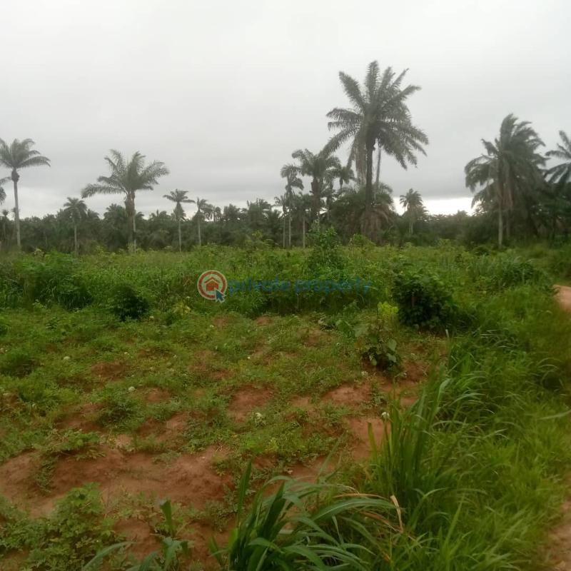 Mixed use Land For Sale Charisma Garden Ogbor Hill,aba Abia  - 3