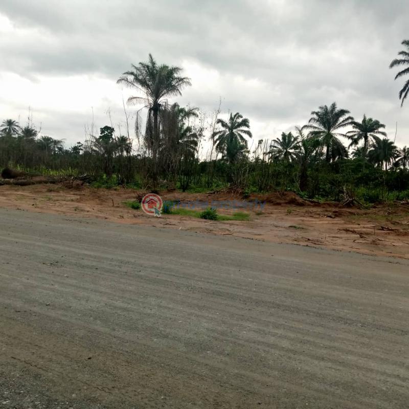Mixed use Land For Sale Charisma Garden Ogbor Hill,aba Abia  - 4