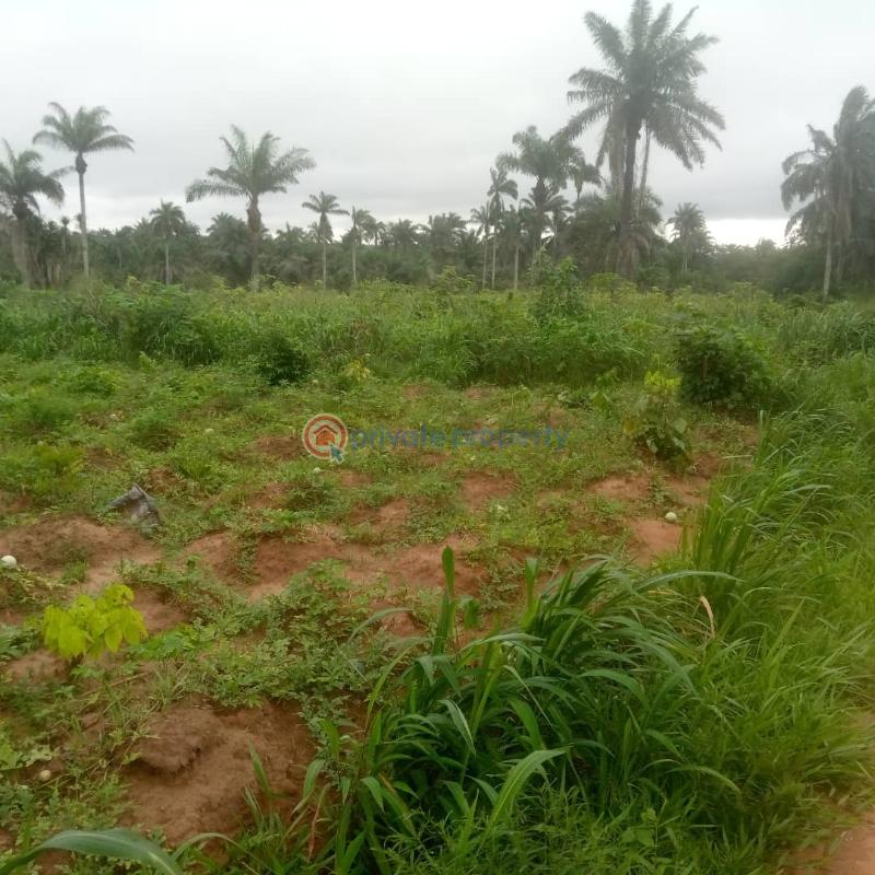 Mixed use Land For Sale Charisma Garden Ogbor Hill,aba Abia  - 2